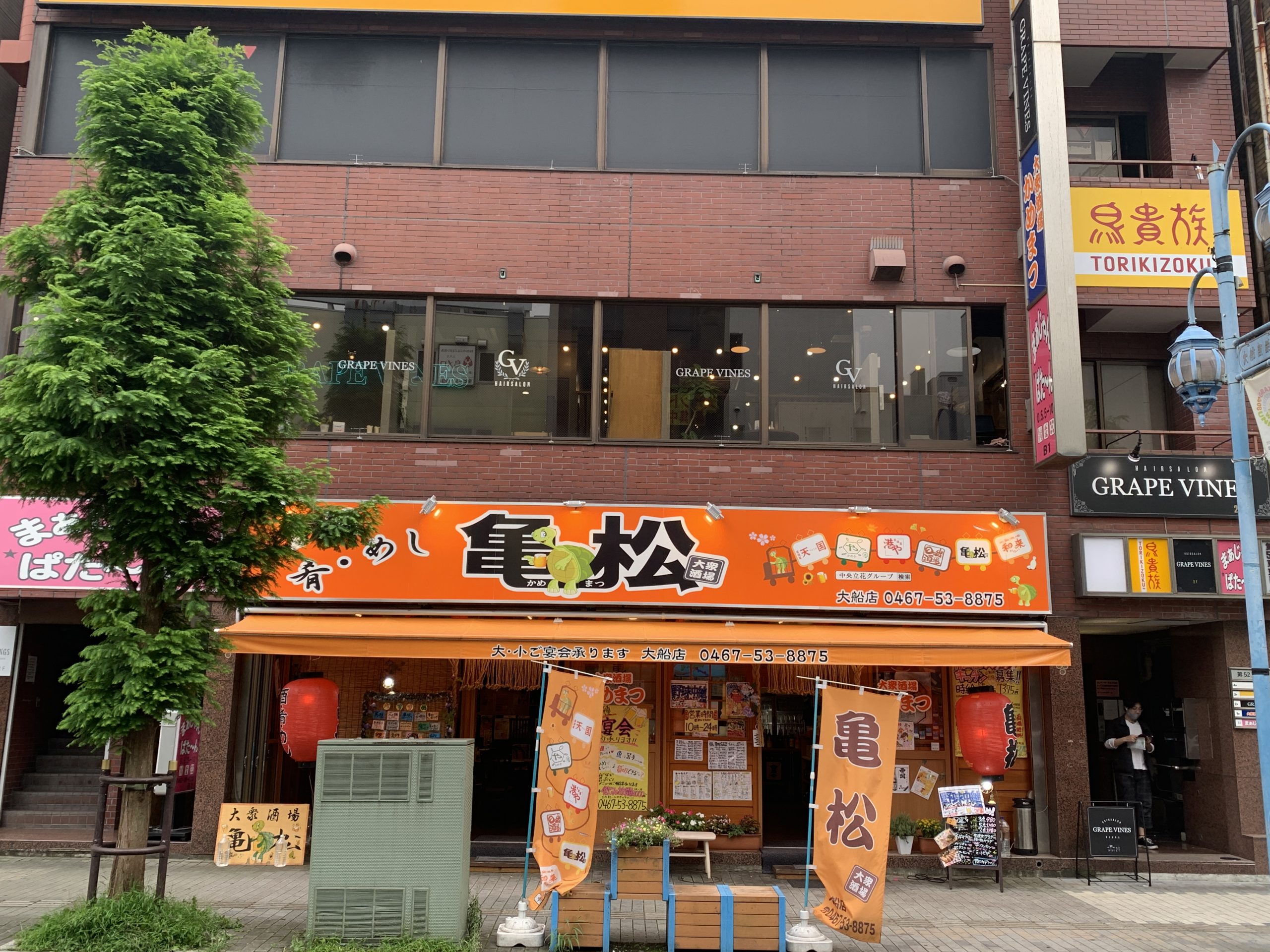 GRAPEVINES大船店